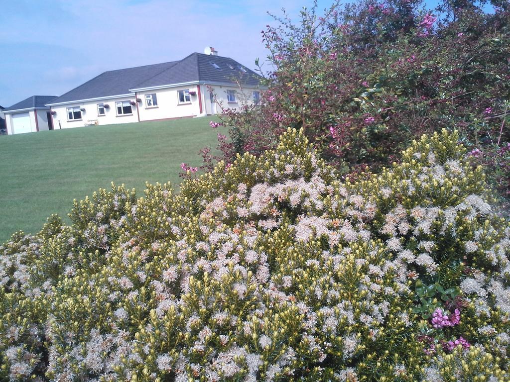 Tullaleagan Guesthouse Oughterard Luaran gambar